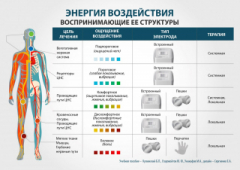 ЧЭНС-01-Скэнар в Элисте купить Медицинская техника - denasosteo.ru 