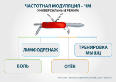 ЧЭНС-01-Скэнар в Элисте купить Медицинская техника - denasosteo.ru 