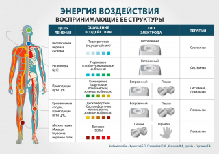 СКЭНАР-1-НТ (исполнение 01)  в Элисте купить Медицинская техника - denasosteo.ru 