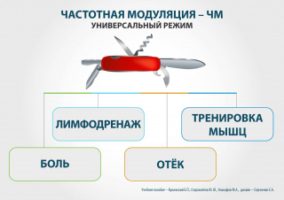 СКЭНАР-1-НТ (исполнение 01)  в Элисте купить Медицинская техника - denasosteo.ru 