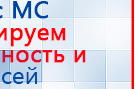 СКЭНАР-1-НТ (исполнение 02.1) Скэнар Про Плюс купить в Элисте, Аппараты Скэнар купить в Элисте, Медицинская техника - denasosteo.ru